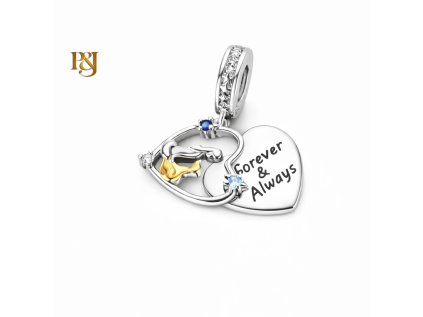 Stříbrný visací přívěsek Forever&Always SB210 (1)