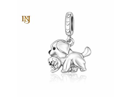 Stříbrný visací přívěsek Psí maminka SB211