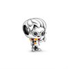 pandjjewellery stribrny privesek harry potter HP1