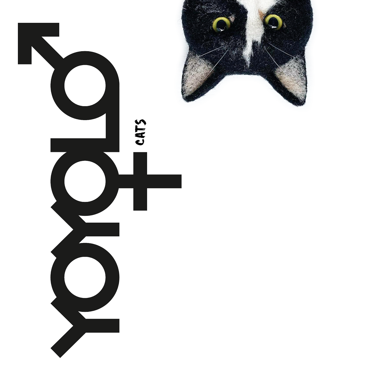 pan Kočička