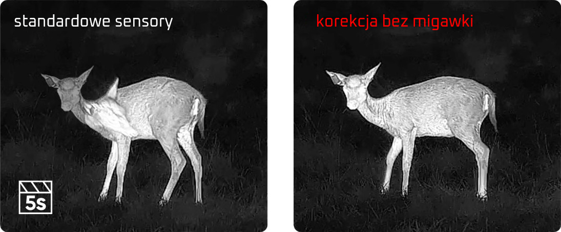Hikmicro Stellar 3.0, korekcja bez przesłony