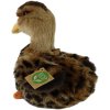Rappa Pluszak – kaczka krzyżówka 23 cm