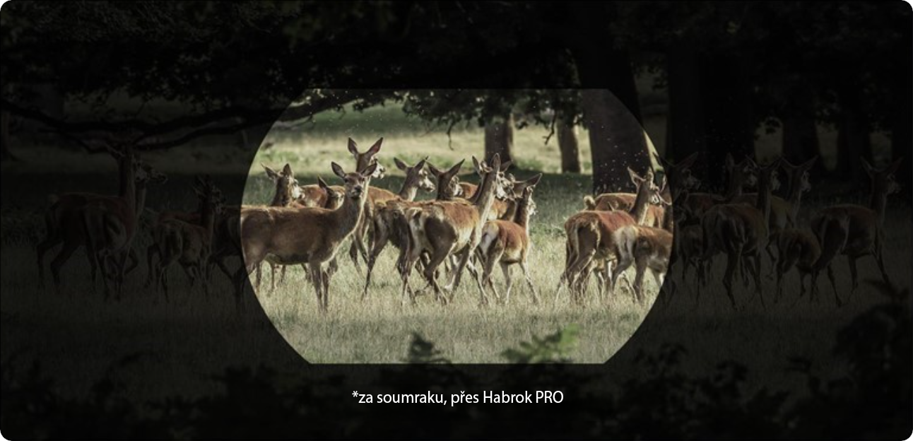 Hikmicro, Habrok PRO, digitální senzor za soumraku