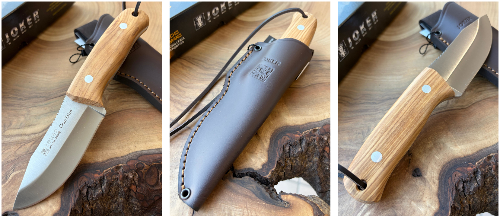 Joker Gran Erizo – Lovecký nůž, 9,5 cm, olivové dřevo