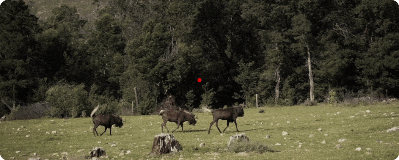 PARD Action Camera AC-11 - Záznam obrazu