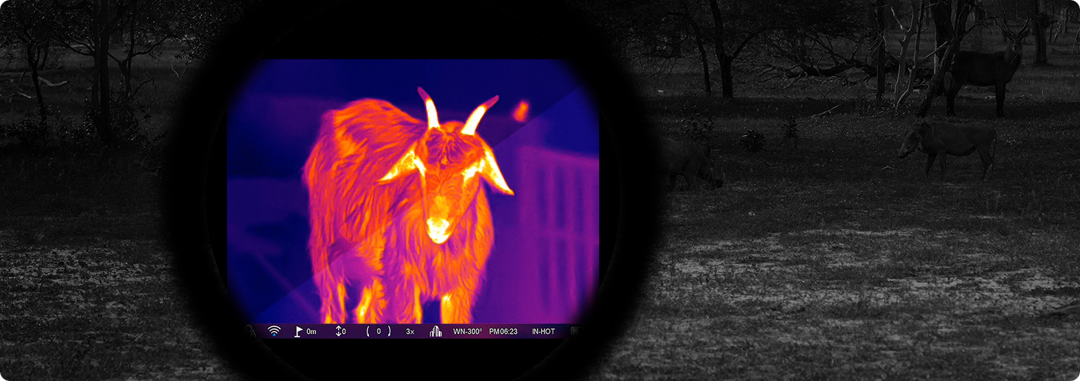PARD Pantera Q LRF - OLED obrazovka