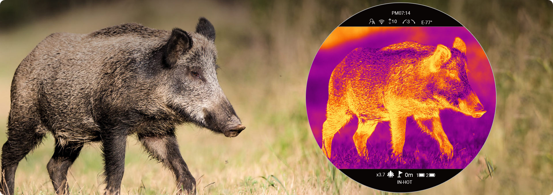 PARD Pantera 640 eX - Ekran OLED