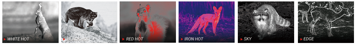 PARD – palety termowizyjne