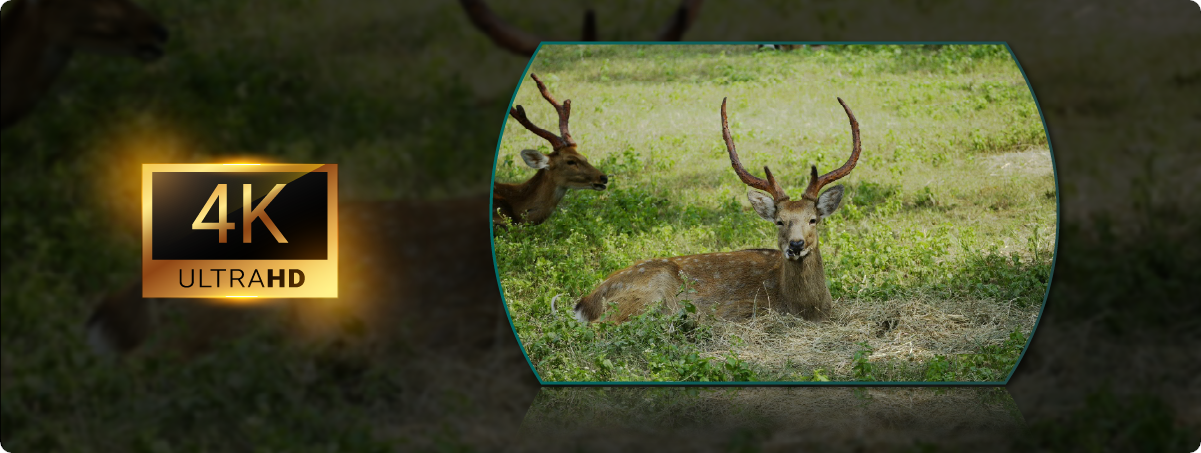 Pixfra Draco - Termovizní dalekohled s nočním viděním a dálkoměrem