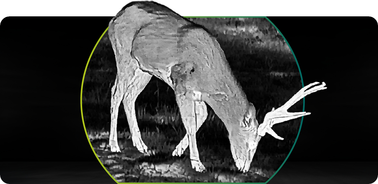 Pixfra Pegasus 2 LRF