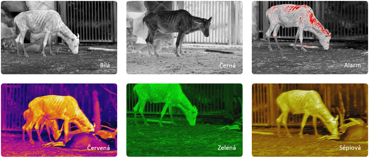 Pixfra Pegasus barevné režimy zobrazení