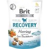 Brit care functional snack recovery herring 150 g