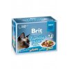 Brit Premium Cat D Fillets in Gravy Family Plate 1020g