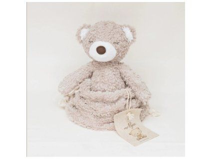 mr teddy