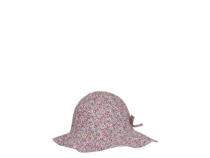 hut460466 cplumeria