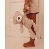 mr teddy 1