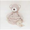 mr teddy