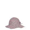 hut460466 cplumeria