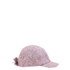 hut460472 cplumeria
