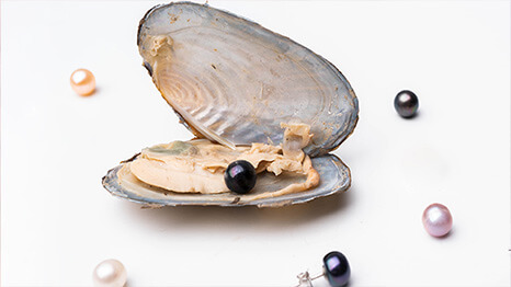 Jak vznikají perly? Q&A