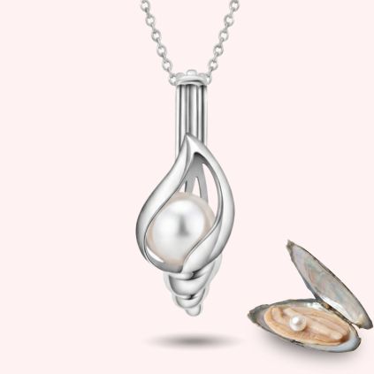 stribrna musle musle