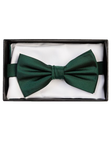 Zelený motýlek Feratt