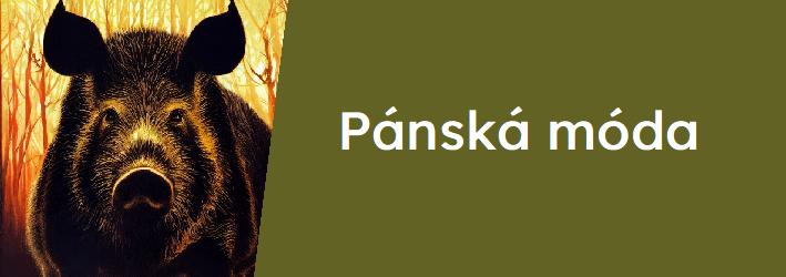 Pánská móda