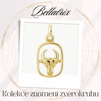 Bellatrix zlatý přívěsek znamení zvěrokruhu panthera leo cover