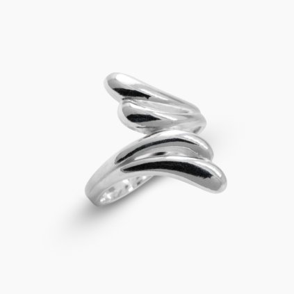 Téthys stříbrný prsten panthera leo