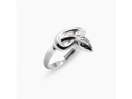 Stříbrný prsten had Shakti