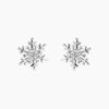 Stříbrné náušnice malá sněhová vločka panthera leo