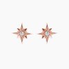 Stella mini náušnice hvězda růžové zlato polárka na šroubek šperky panthera leo