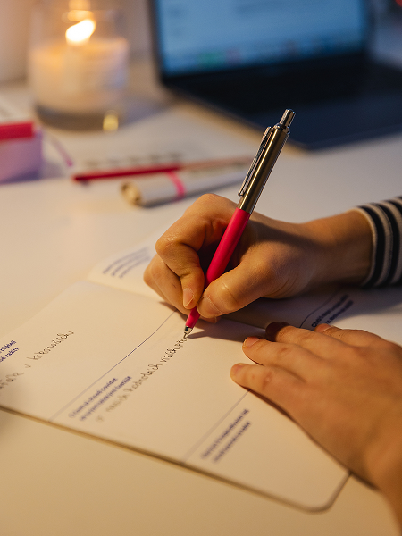 Bilanční deník - mobil