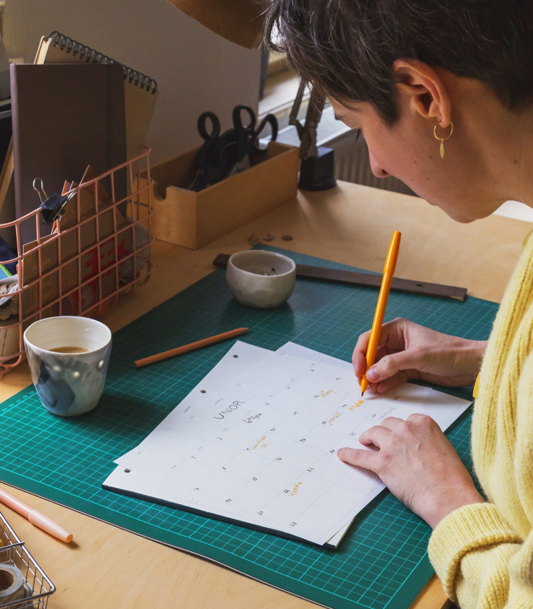 Kategorie: Plánovače