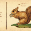 encyclopedia/animal - 7m