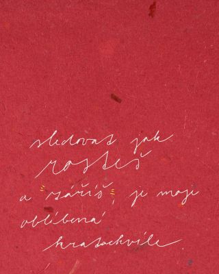 Dneska oslavujeme ženy! ✨ Maminky, ségry, partnerky, babičky, dcery, kámošky i kolegyně. Pošlete svým oblíbeným ženám...