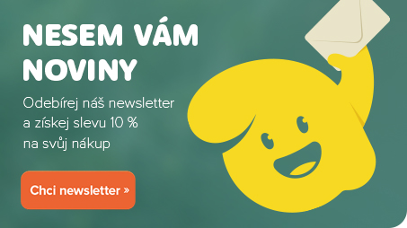 newsletter_polovicni