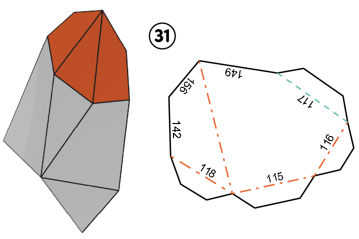 31