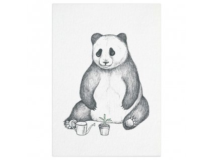 pohlednice ligarti panda