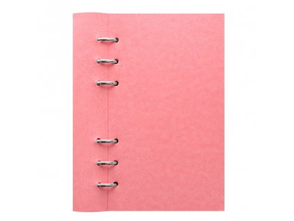 023632 Clipbook Classic Pastels Personal Rose1