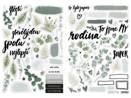 43260 samolepky eucalypt