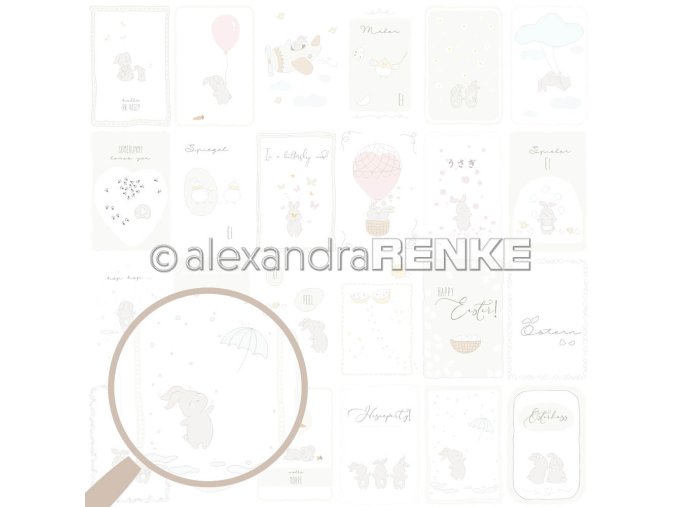 P AR 102642 RENKE