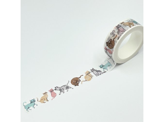 WASHI TAPE  - PICNIC IN THE MEADOW / Kittens