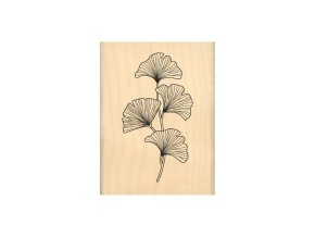 drevene razitko ginkgo