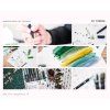 watercoloring set greenery tombow