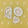 27389 chipboardove vyseky u vody citrony