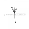 D AR Fl0016 RENKEeG2FfQLsgaLr8 600x600