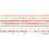scrapbookove papiry printemps charmant 15