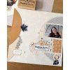 ginkgo projekt