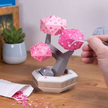 bonsai lovers desk tweezers DSC05678.min